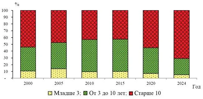 В России доля автомобилей старше 10 лет достигла 70%, к 2030 году может вырасти до 80%