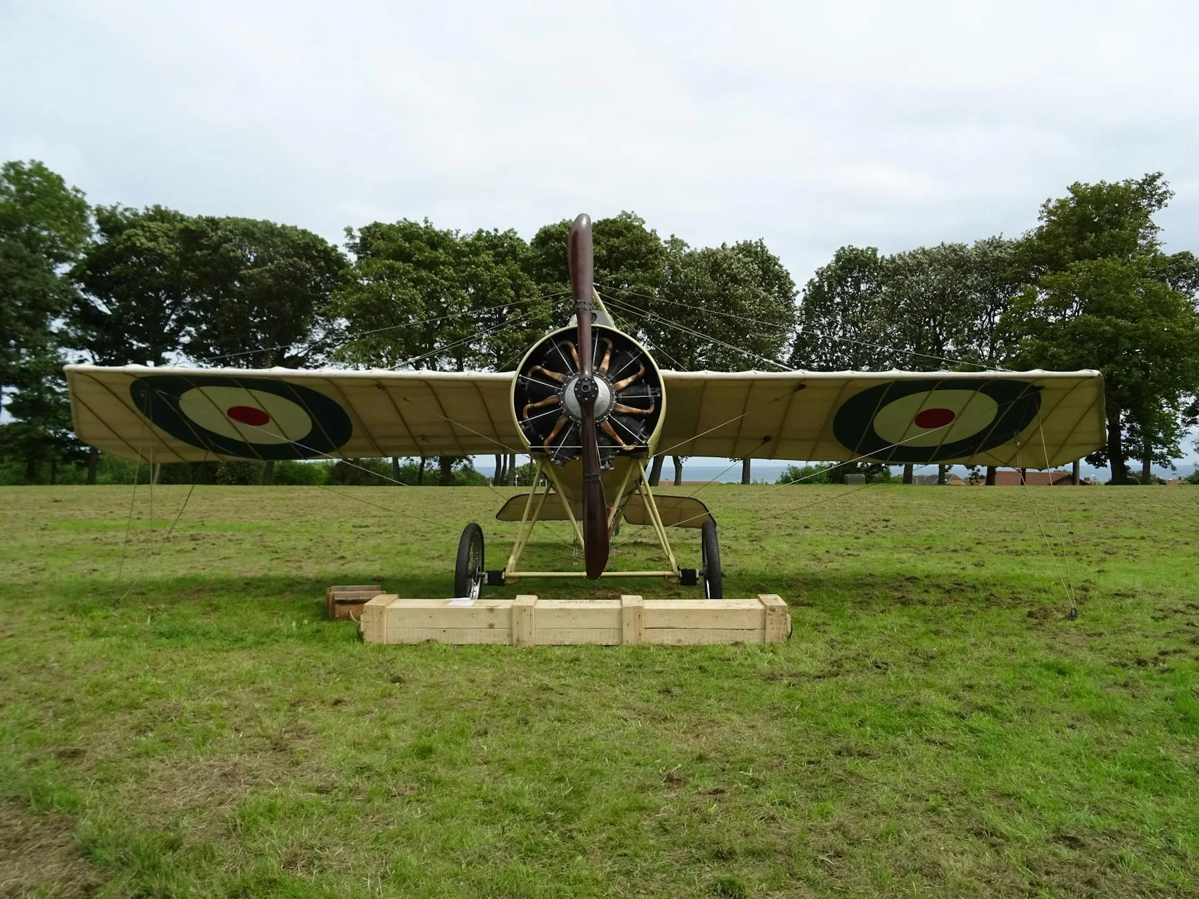 Минздрав разрешил самозанятым оформлять больничные до 2028 года