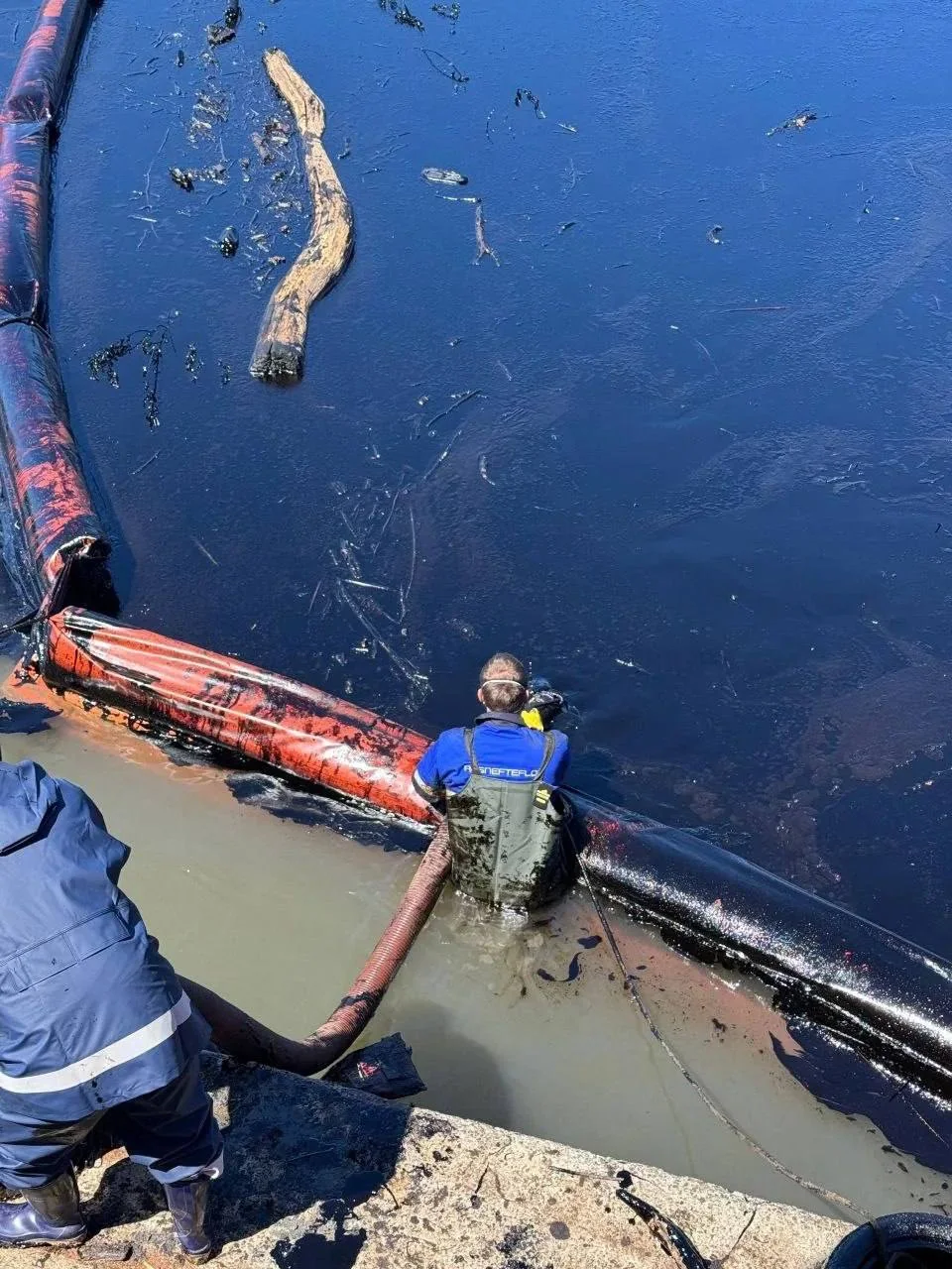 В Туапсе угроза экологической катастрофы: эксперт сравнил с разливом мазута в Анапе