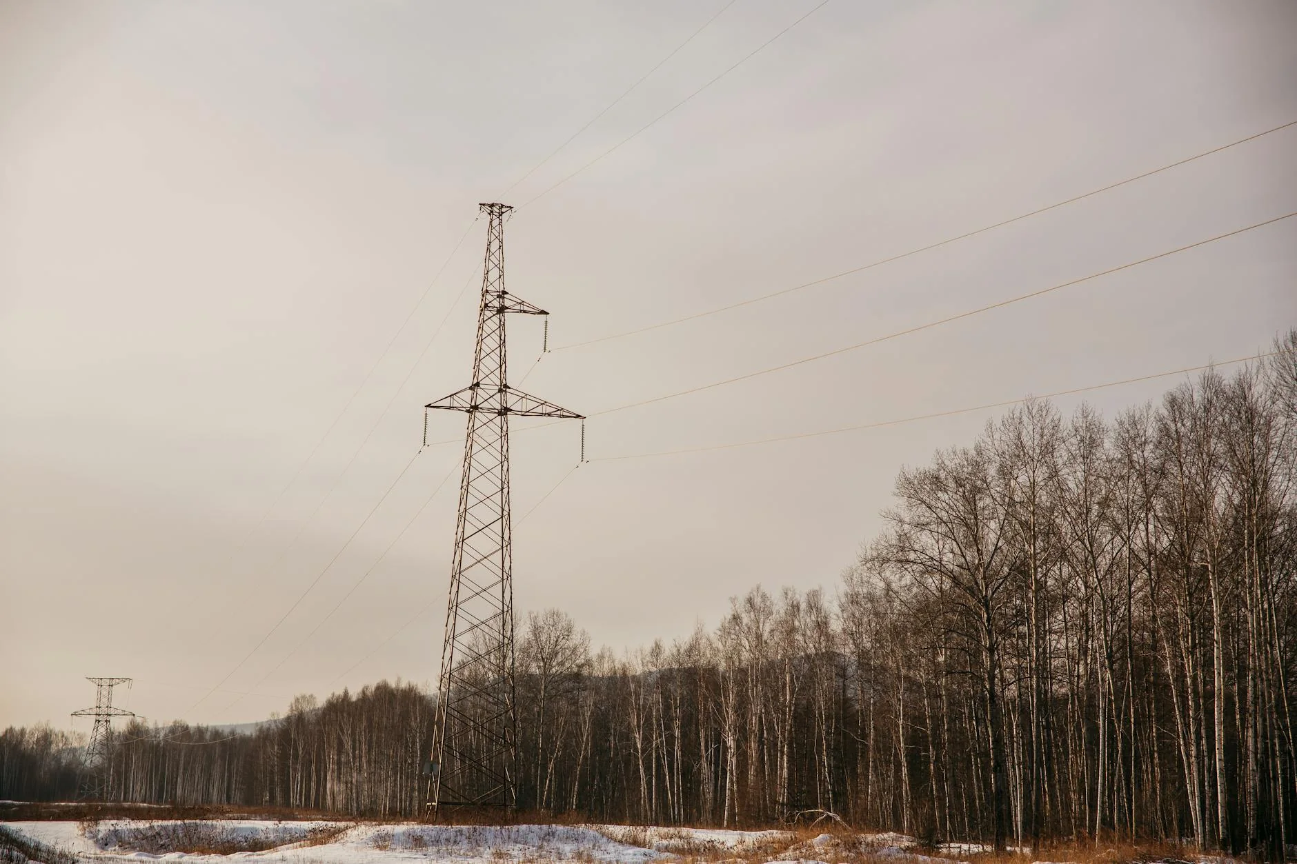 В Нижегородской области депутат с психическим диагнозом крал электричество на 30 млн рублей