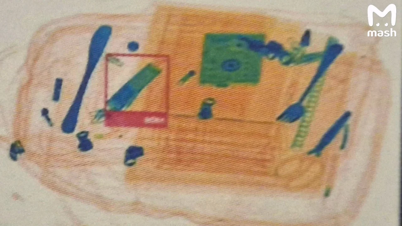 В 18 российских школах начали просвечивать рюкзаки интроскопами ради поиска вейпов