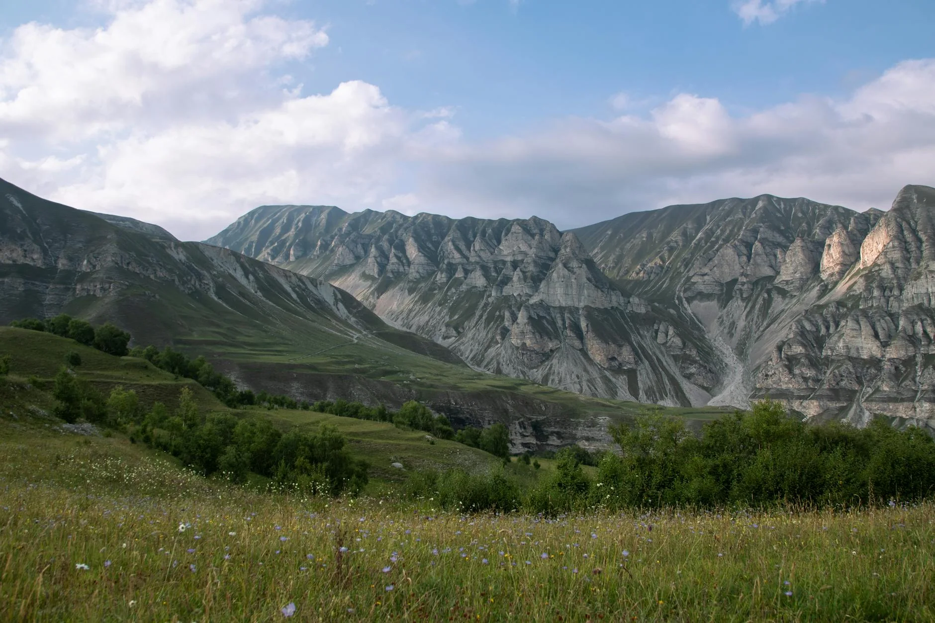 Авито упрощает доставку гуманитарной помощи в Дагестан до 10 апреля